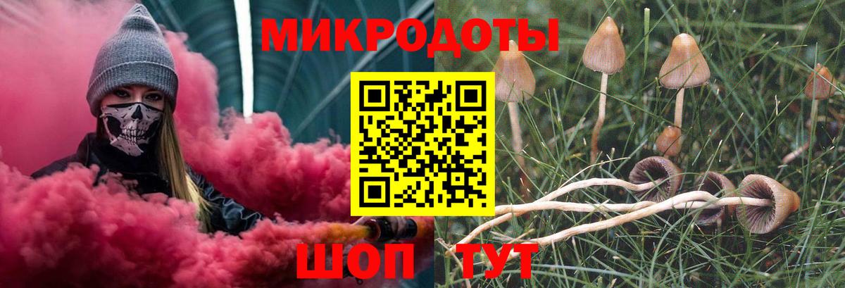 Спасск-Дальний  Псилоцибиновые грибы Psilocybine cubensis  Вход с VPN 